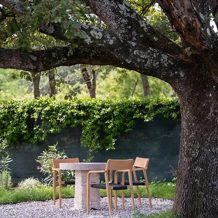 Villa Old Oak Umago